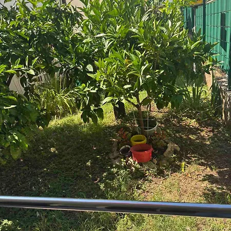 Mare Apartman Poreč